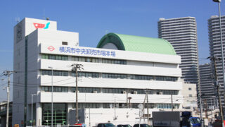 帆前掛け　レトロ　横浜市中央卸売市場　横浜丸中青果 業務用 青果 前掛け 全4種類 エプロン 帆前掛け 仕事着 ユニホーム
